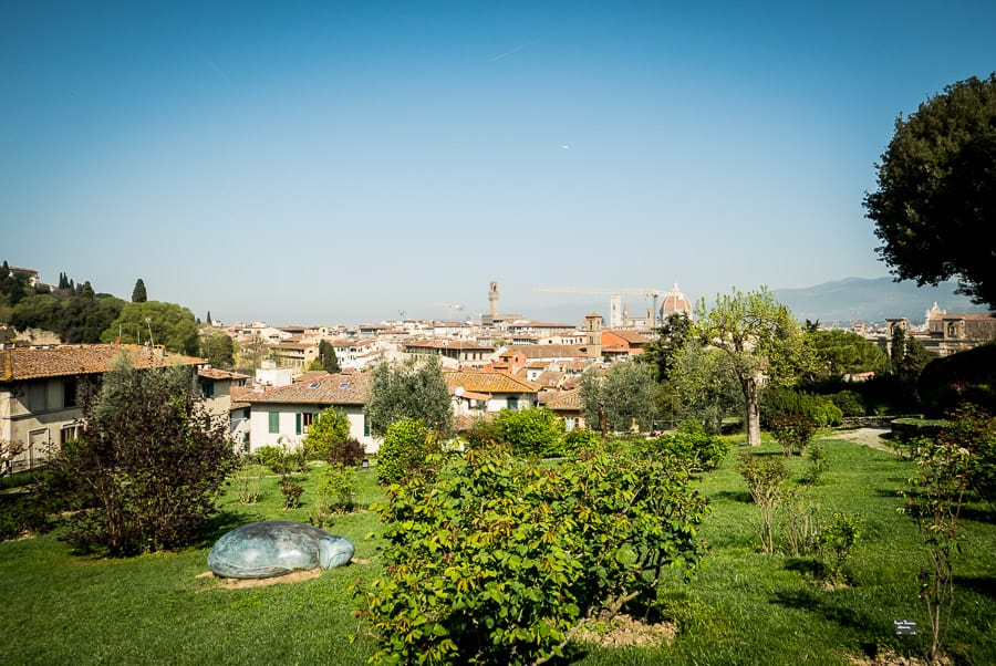 Florence sight from rose garden
