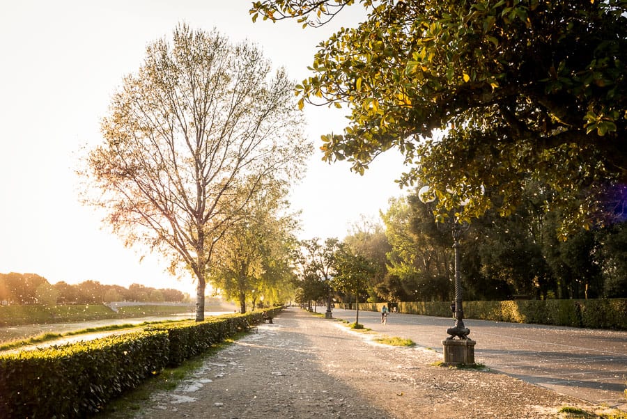 cascine park florence sunset light