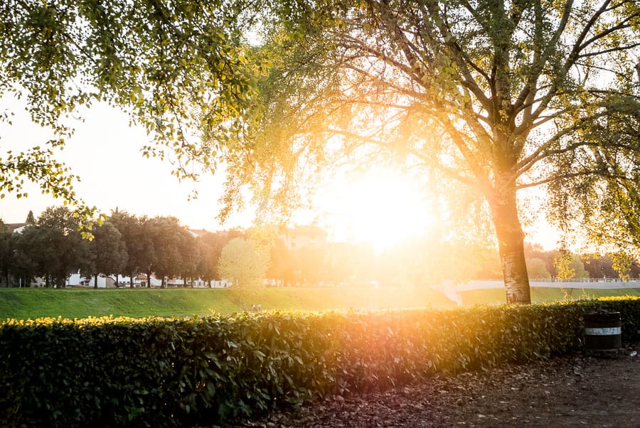 cascine park florence sunset