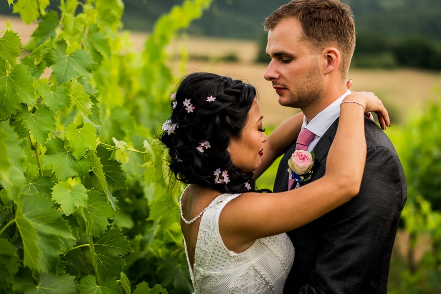 couple in the vineyards intimate moment