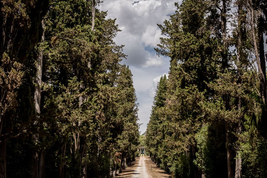 borgo stomennano cypresses