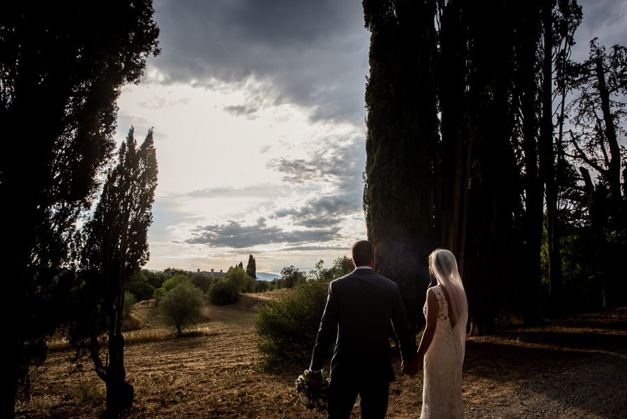 perfect light cypresses borgo stomennano