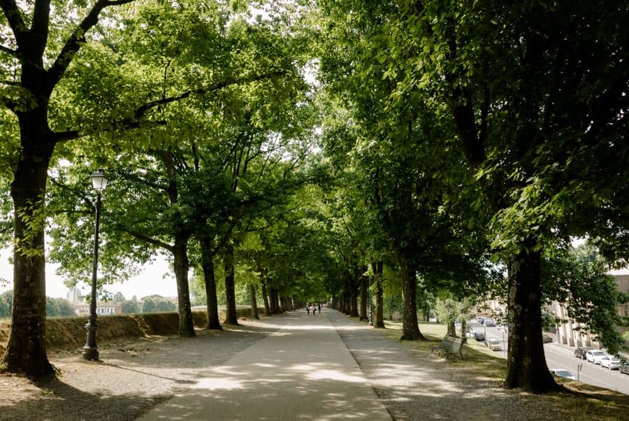 A nice walk on the walls of Lucca