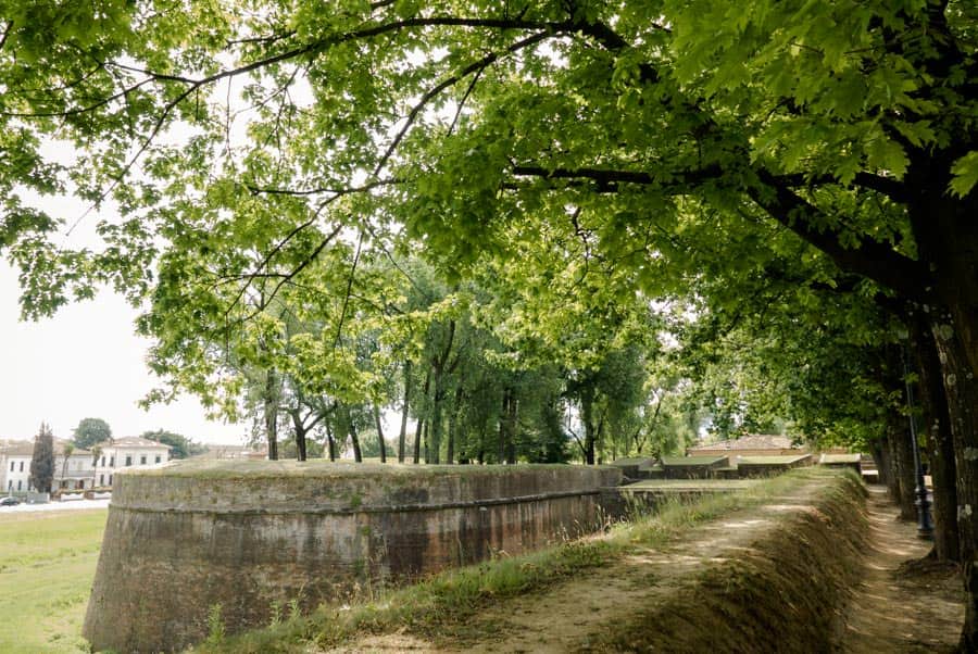 Beautiful walls of Lucca