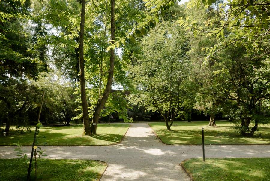 Nice view of the bothanical garden of Lucca