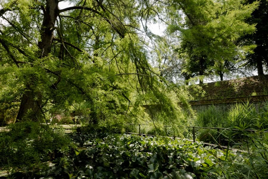 Small lake inside the bothanical garden of Lucca