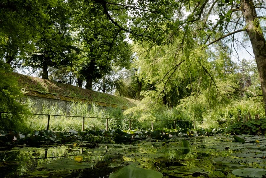 Small lake of the bothanical garden in Lucca