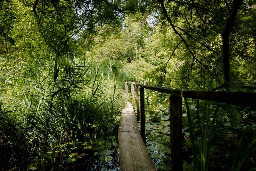 Footbridge on the lake at the bothanical garden of Lucca