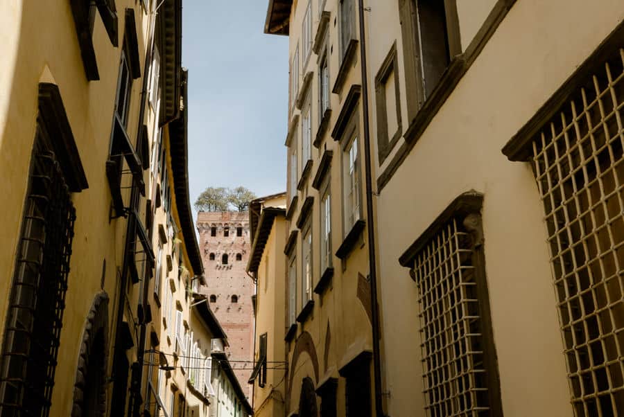 Guinigi Tower in Lucca