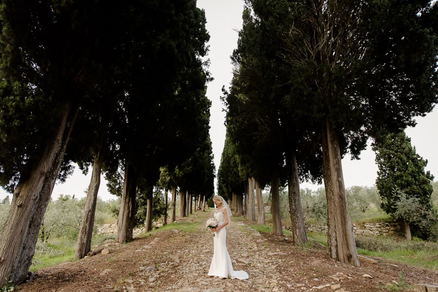 fattoria di cinciano cypresses road