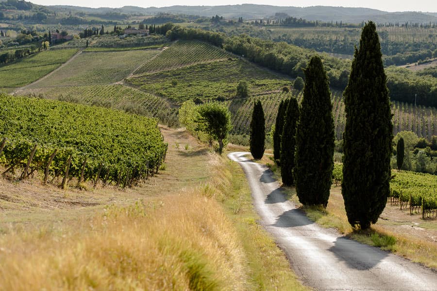 poderi arcangelo panoramic view