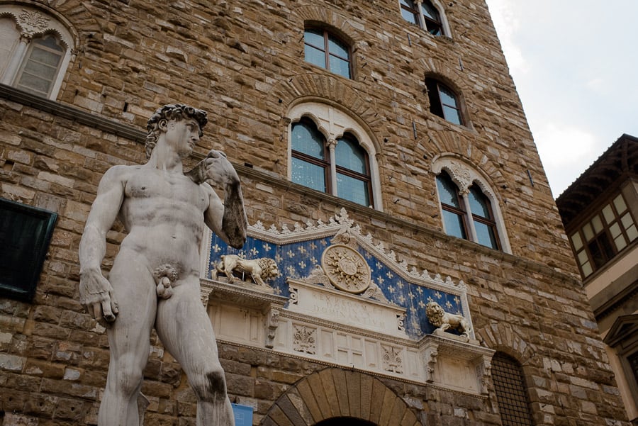 Michelangelo's David in Florence