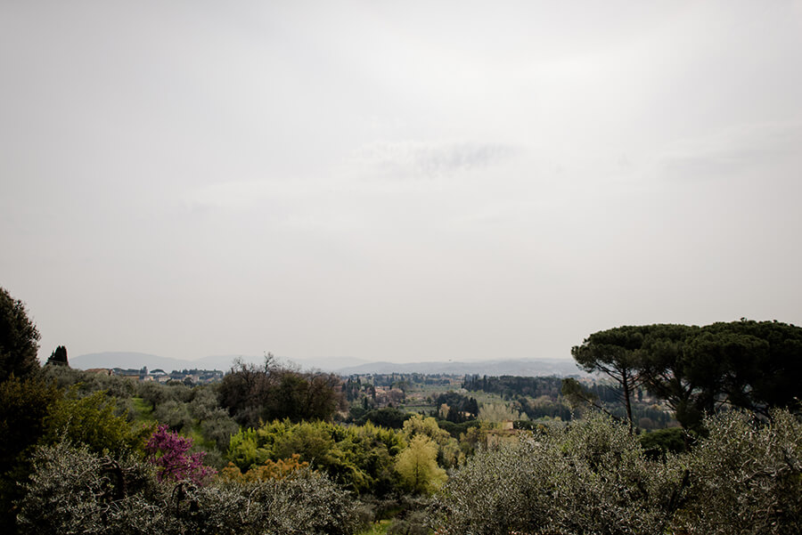 Beautiful panoramic view of Florence