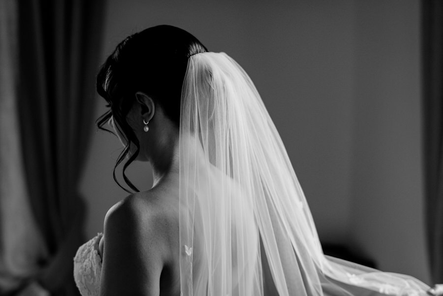 bridal veil black and white photo