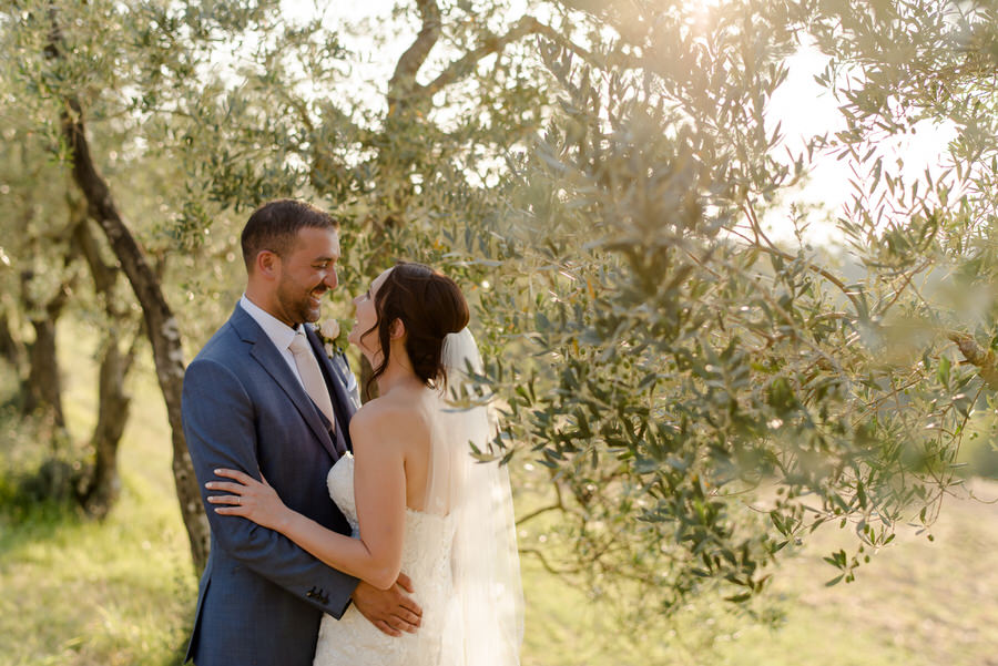 bride and groom in a olive trees field