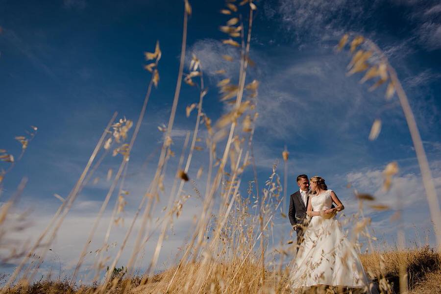 wedding couple in a tuscan field