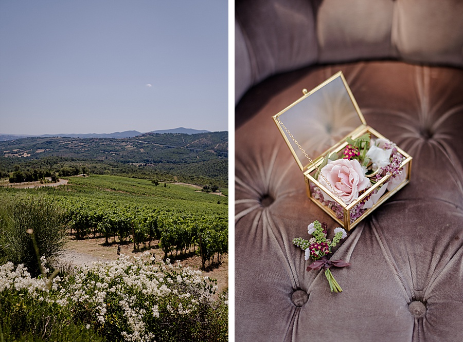 wedding-venue-vineyard-rings