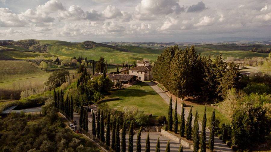 borgo della meliana tuscany vineyard