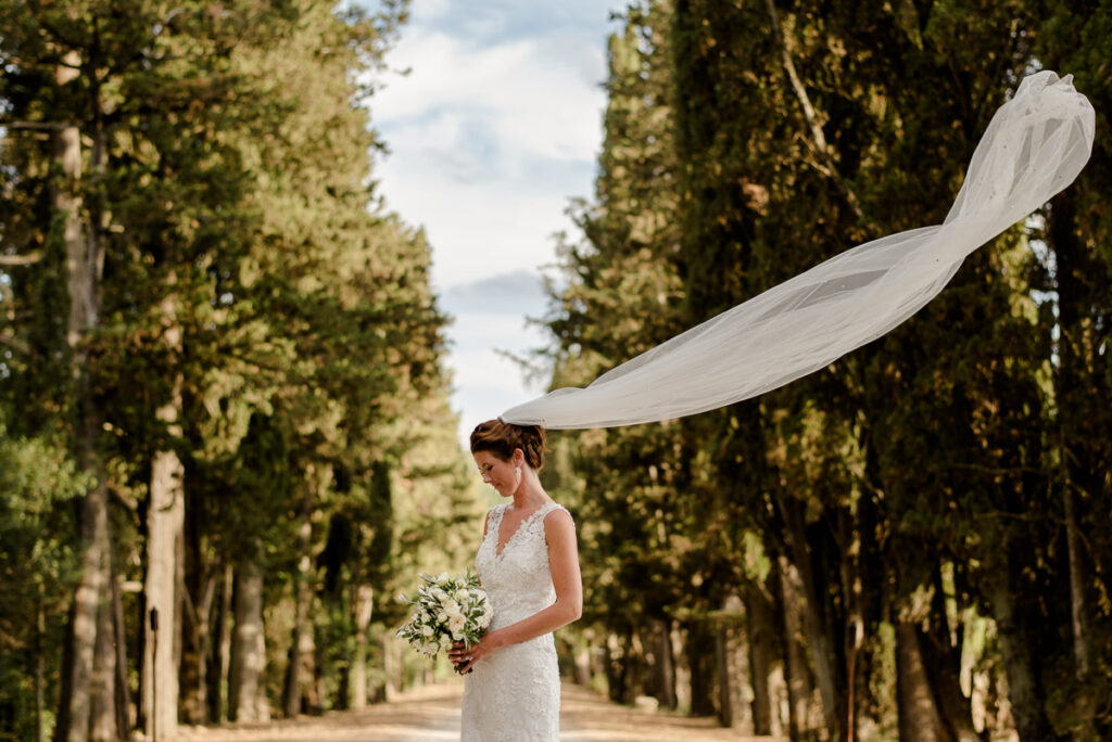 bride in a tuscan landscape with cypresses road